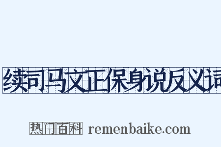 续司马文正保身说反义词是什么意思的图片